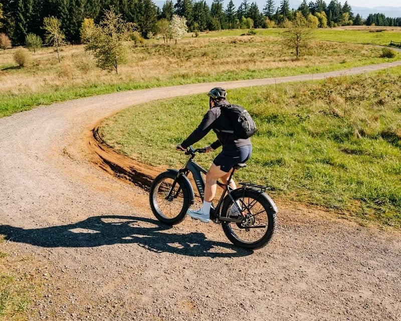 3-Hour E-Bike Rental in Silverthorne