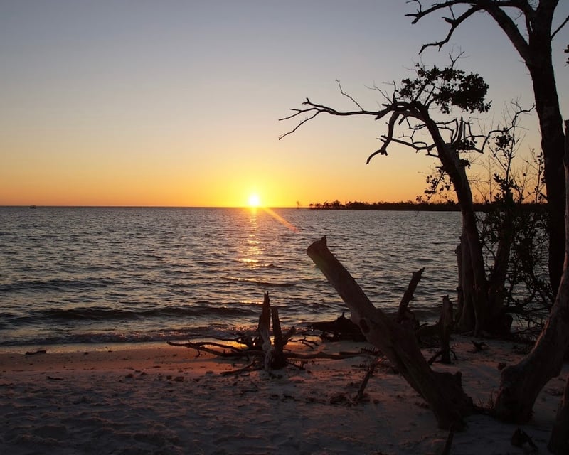 Private Manatee & Dolphin Sunset Cruise in Naples