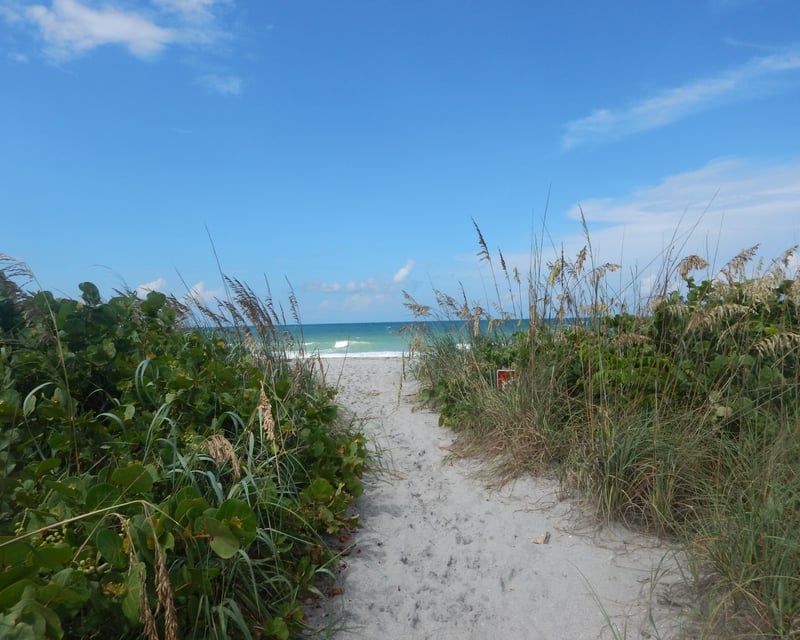 Private Full-Day Sandbar Boat Charter in Osprey