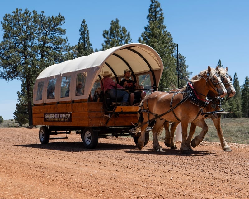 Horse-Drawn Wagon Ride in Bryce Canyon