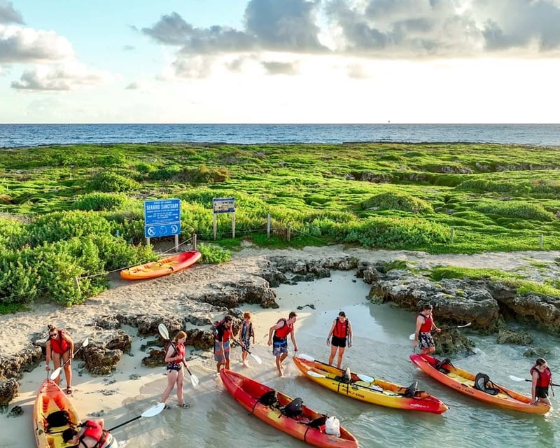 Guided Kayak Tour to Popoia Island in Kailua