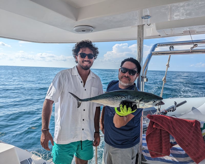Private Half-Day Sail & Shelling Trip to Shell Key
