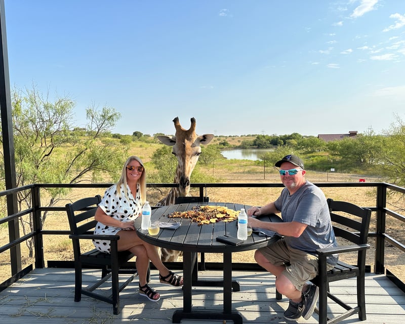 Giraffe Feeding Experience in McGregor