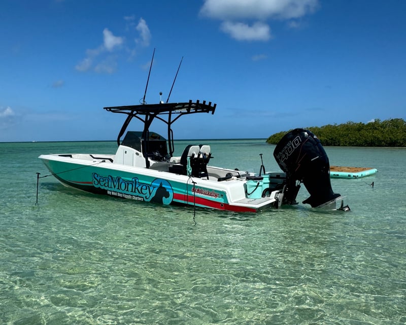 Private Sandbar Charter in Key West