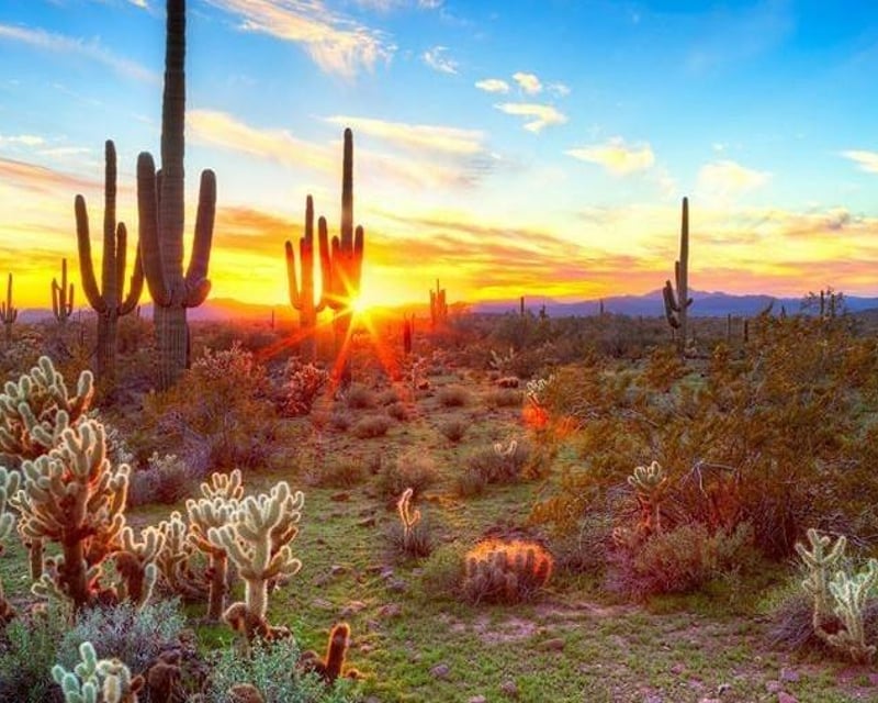 Private Sunset ATV Tour in New River