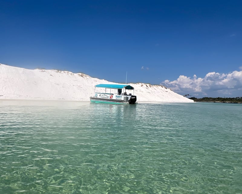 Dolphin, Snorkel & Sand Island Tour in Pensacola Beach