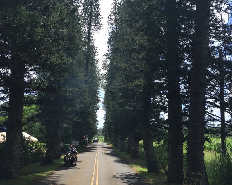 Road to Hana Guided Day Tour From Kahului