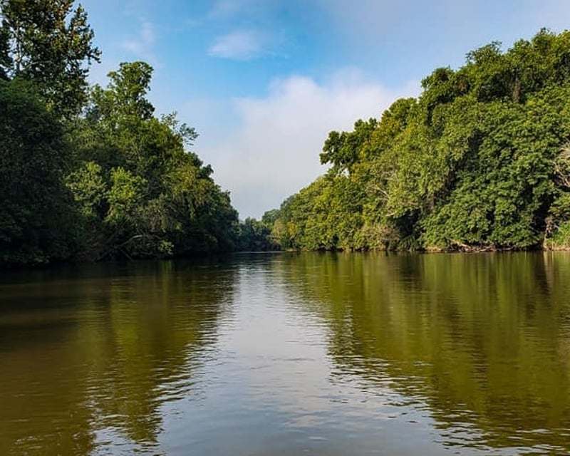 Yadkin River 6.5-Mile Canoe Trip
