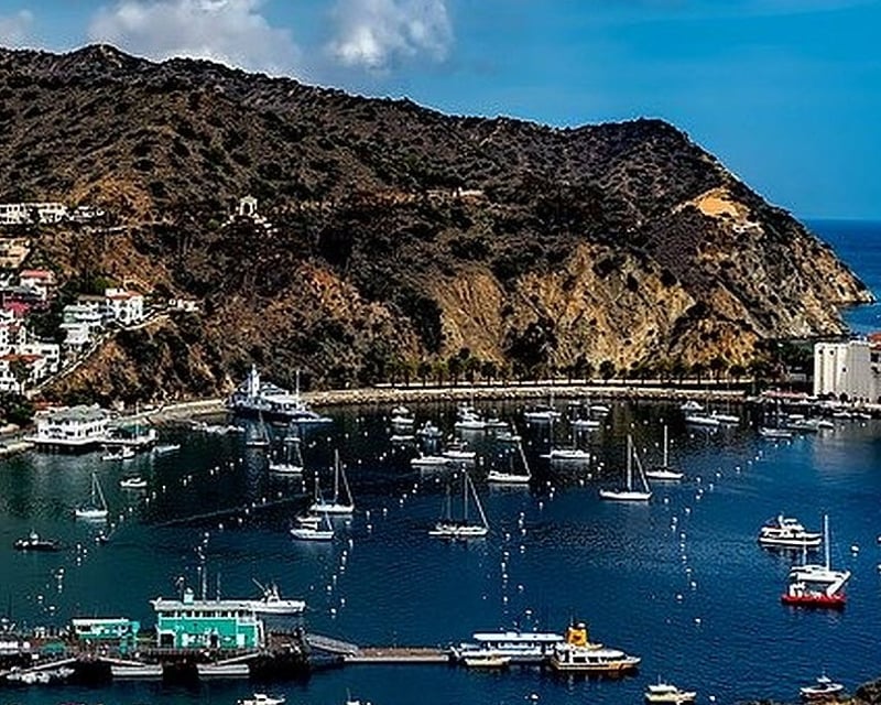 Private Guided Golf Cart Tour in Avalon, Catalina Island
