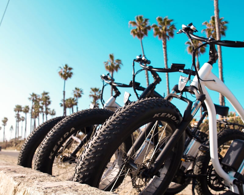 Self-Guided Fat Tire E-Bike Rental in Wilmington