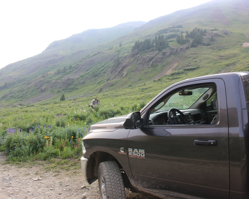 Yankee Boy Basin Jeep Tour From Ouray