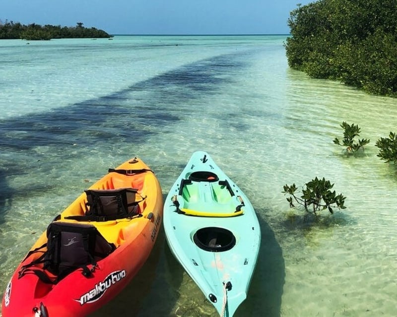 Half-Day Mangrove Kayak Rental in Sugarloaf Key