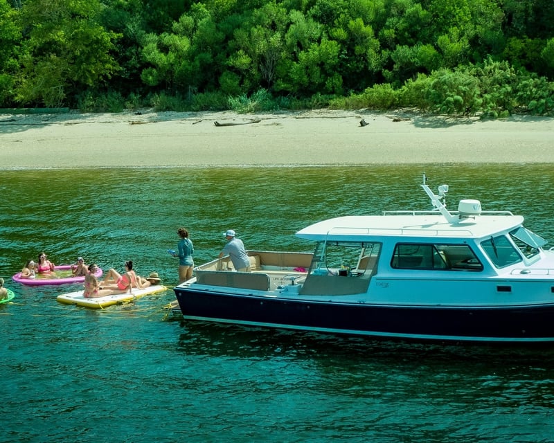 Private Afternoon Charleston Harbor Cruise & Swim