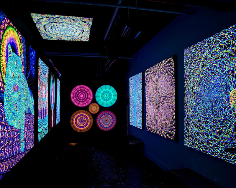 Guided Luminescent Art Tour in Brooklyn