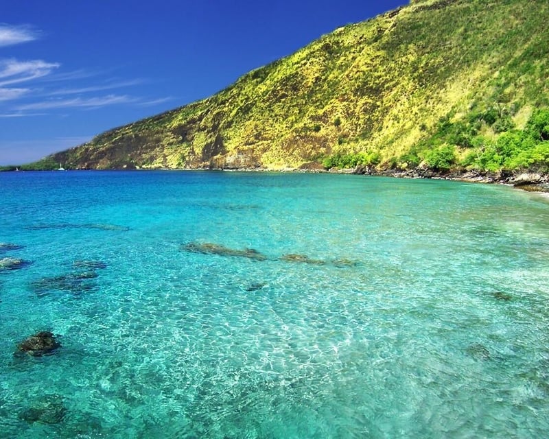 Kealakekua Bay Snorkel Tour to Captain Cook Monument