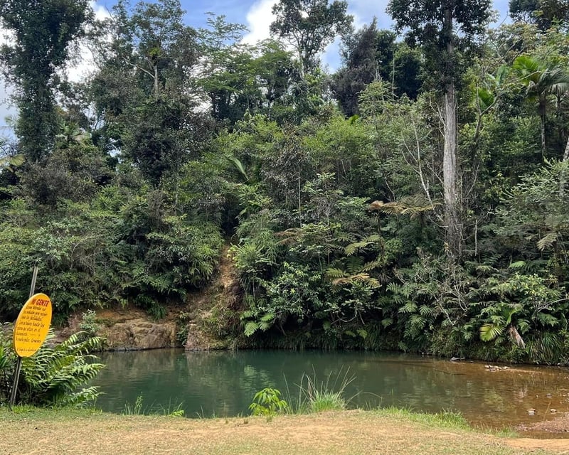 Southwest Puerto Rico 10-12 Hour Guided Tour