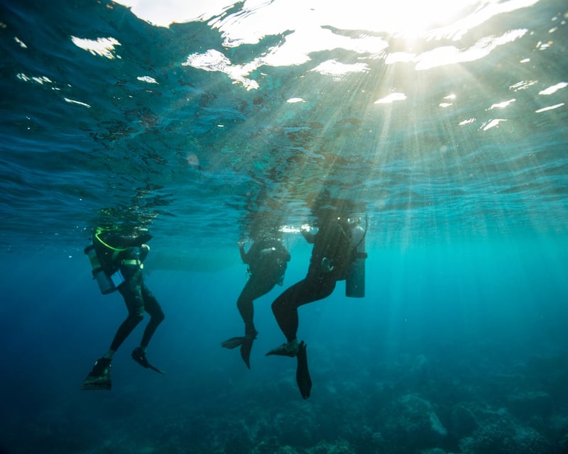 Discover Scuba Diving in Monterey for Non-Certified Divers