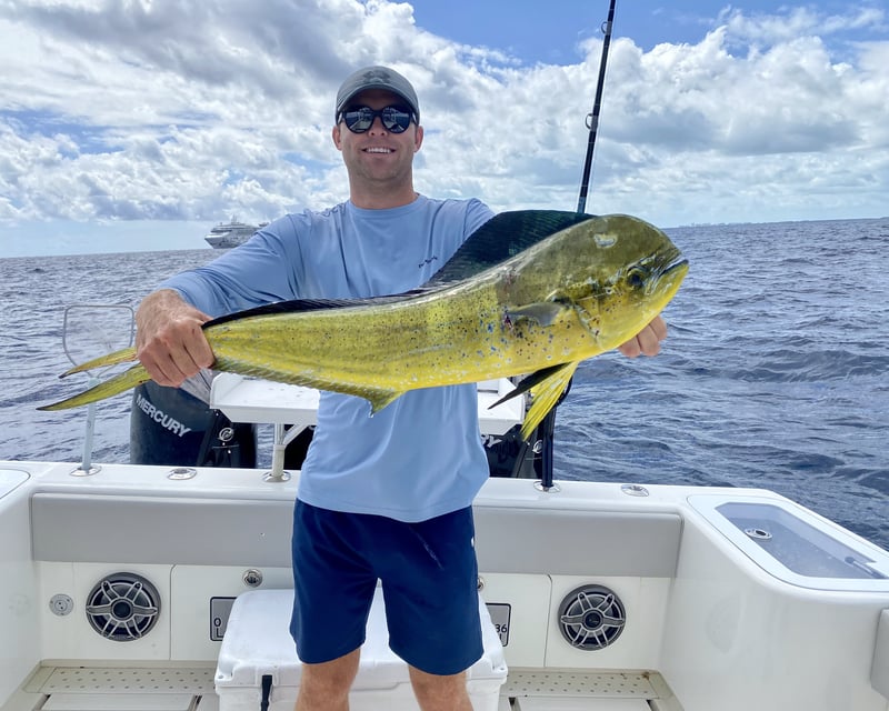 Fort Lauderdale 6-Hour Fishing Charter