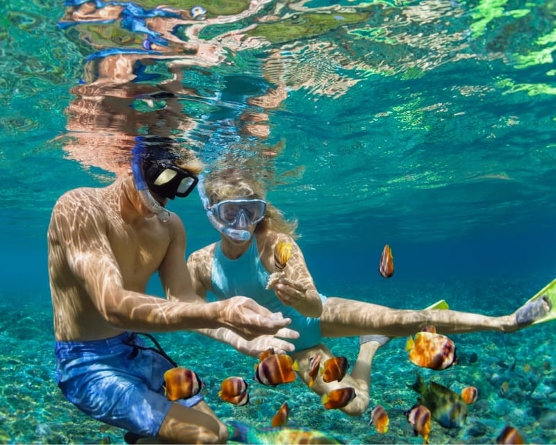 Private Sunrise Snorkel & Dolphin Watching Charter in Kona