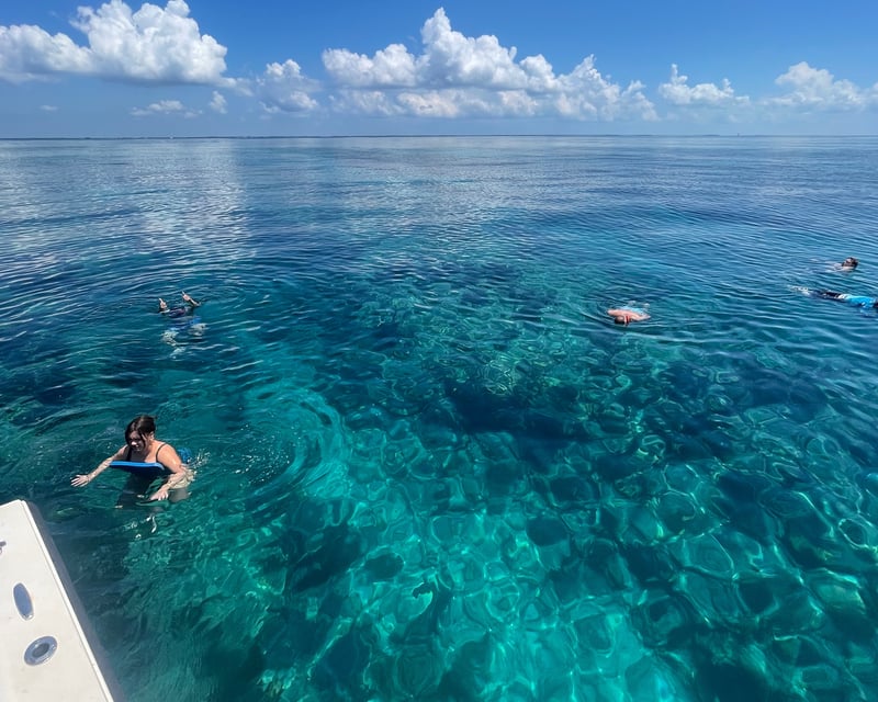 2-Hour Reef Snorkel in Key West
