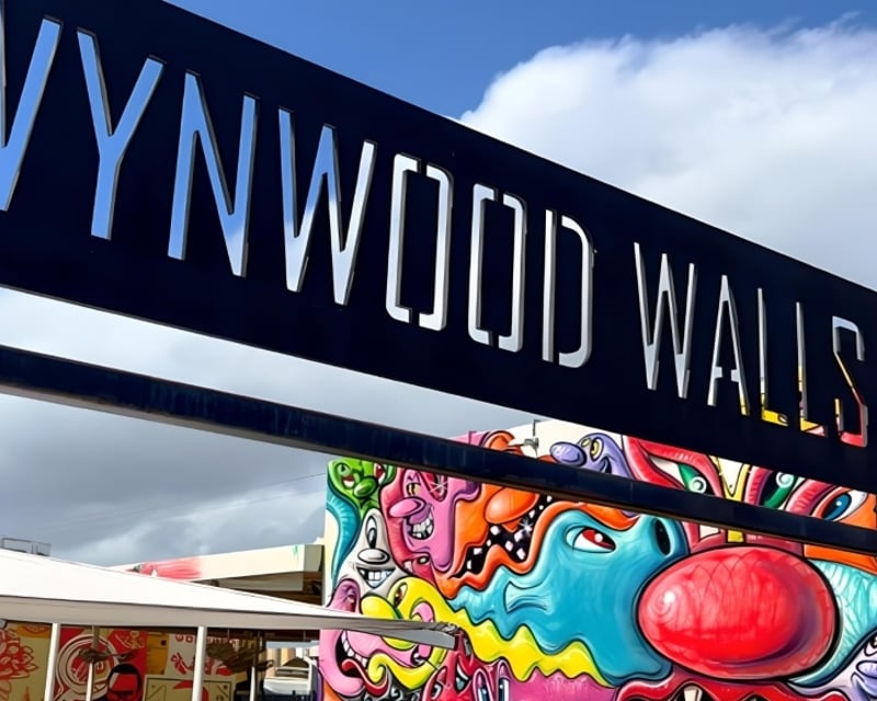 Private Wynwood Walls Street Art Tour in Miami