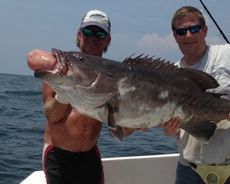 8-Hour Fishing Charter in Orange Beach