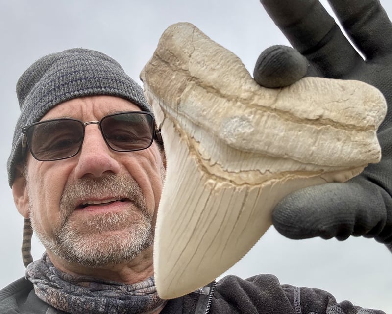 3-Hour Fossil Discovery Tour in Bakersfield