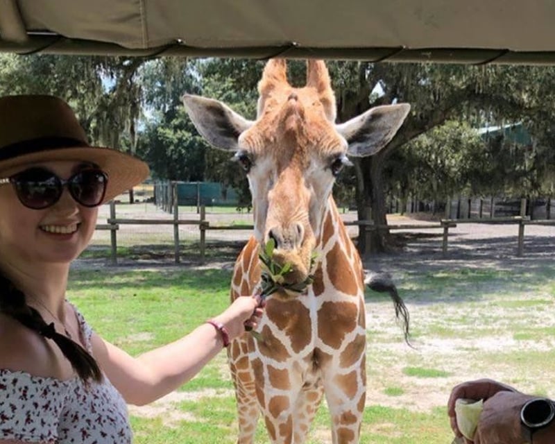 Guided Giraffe Feeding Safari Tour in Dade City
