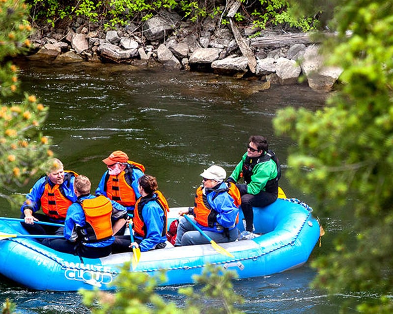 Scenic Float on the Salmon River