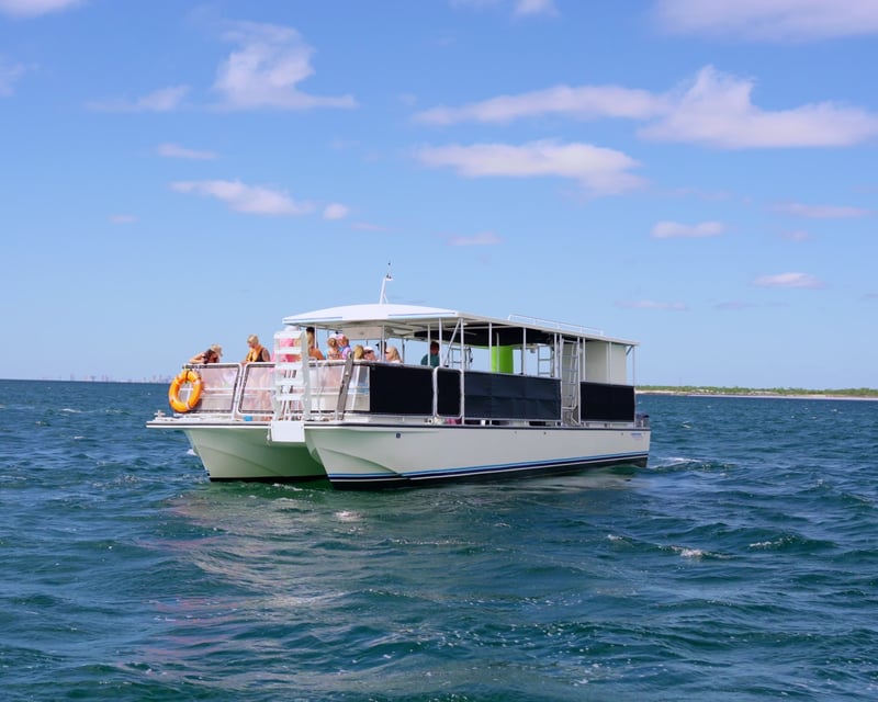 Panama City Beach Dolphin Sightseeing Cruise