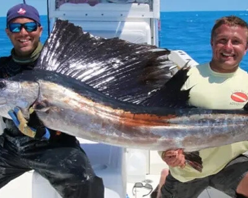 Key West Sailfish Fishing Charter