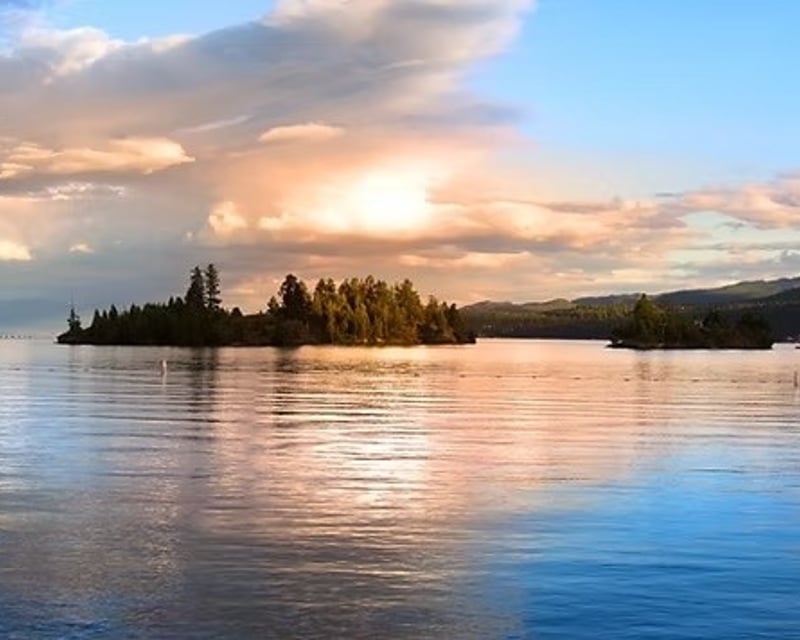 Guided eFoil Tour to Wild Horse Island on Flathead Lake