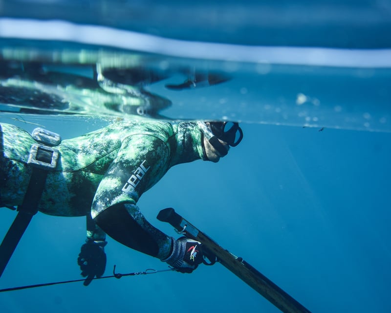 Beginner Freediving & Spearfishing Course in San Diego