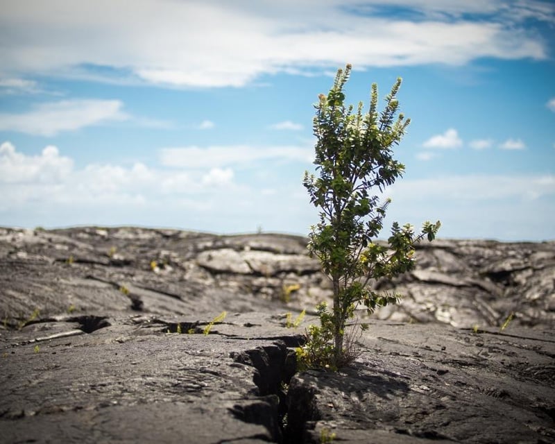 Hawaiʻi Volcanoes National Park Evening Tour from Kona