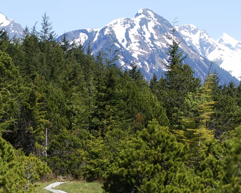 3-Hour Guided Hike in Sitka