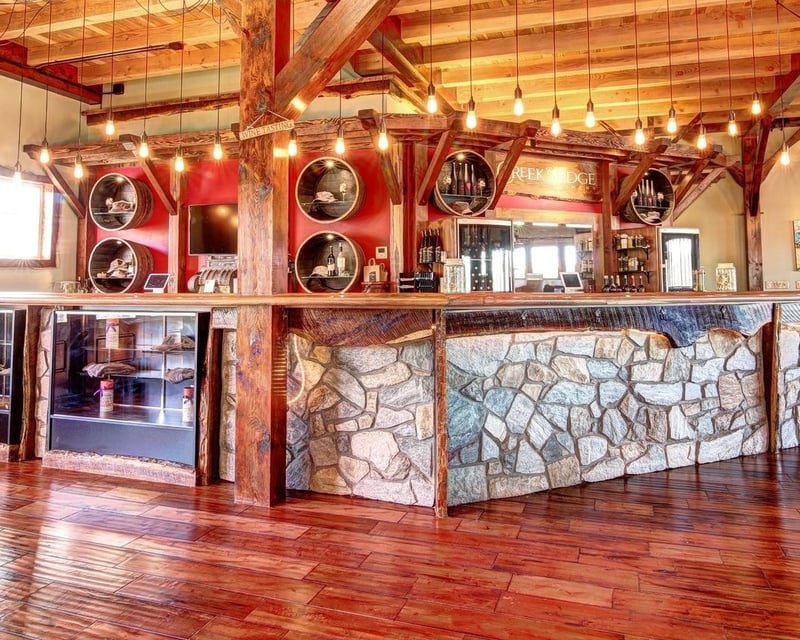 Sunday Brunch & Wine Tasting Tour in Arlington