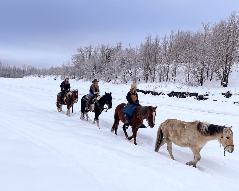 Winter Horseback Trail Ride in Palmer