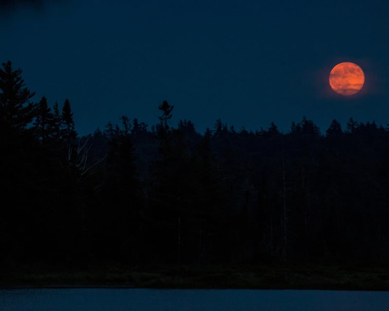 Full Moon Canoe Tour on Stony Creek Ponds