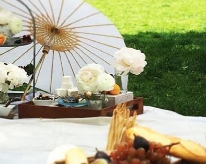 Enjoy a Picnic Experience in New York City