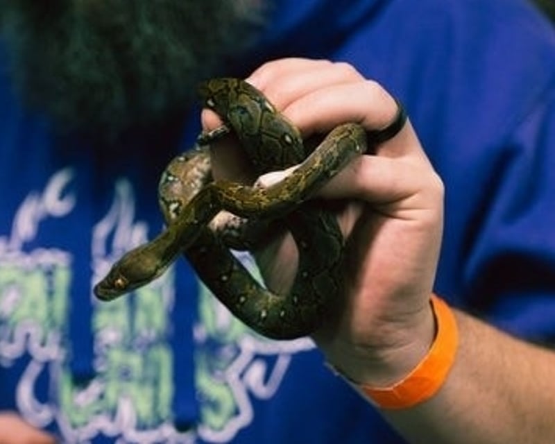 Hands-On Reptile & Amphibian Encounter Near St. Louis