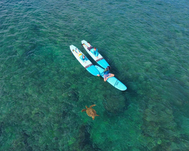 Private Group Surf Lesson at Turtle Bay, Oahu