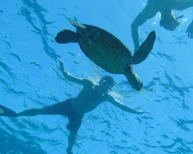 3-Hour Kealakekua Bay Snorkel Tour From Kailua-Kona