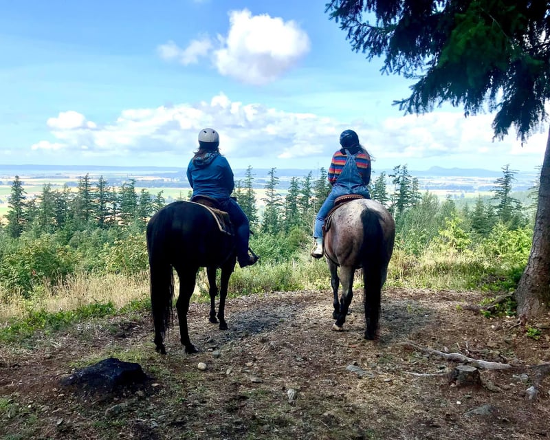 Private 2-Hour Mountain Horseback Ride in Mount Vernon