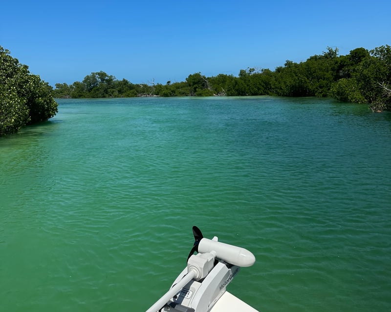 Full-Day Flamingo Everglades Eco Tour from Big Pine Key