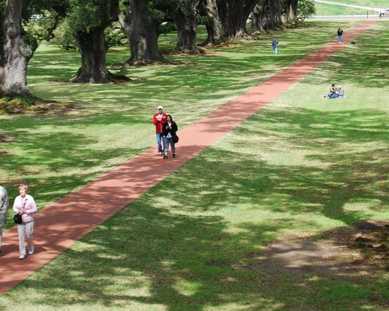Oak Alley Plantation & Airboat Swamp Tour from New Orleans