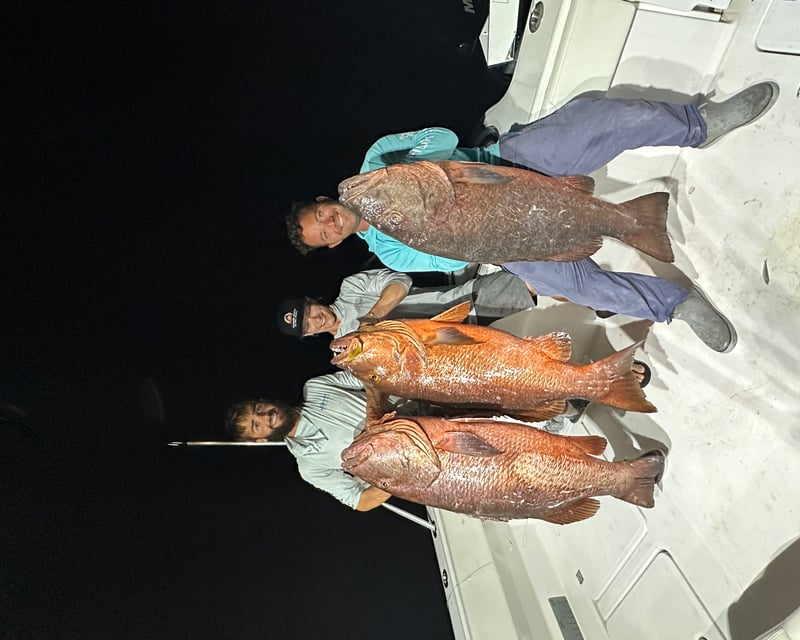 Night Cubera Snapper Fishing Charter in Key West