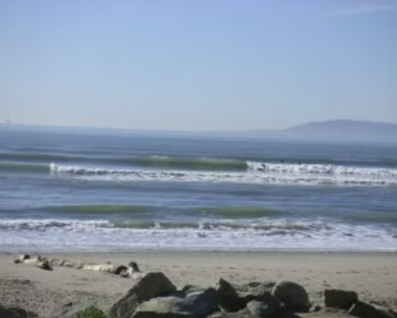 Guided Surf Tour in Malibu with Surfrider Beach Visit