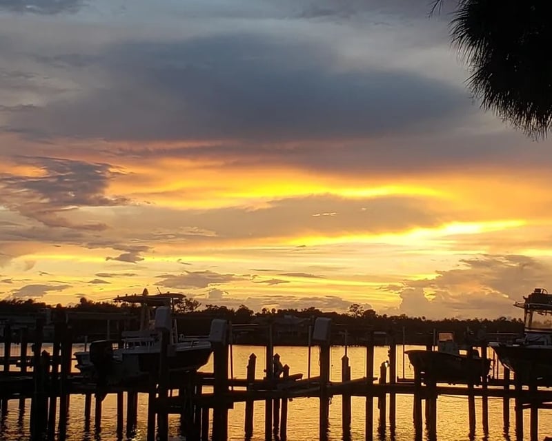Crystal River Sunset Cruise Through Mangrove Backwaters