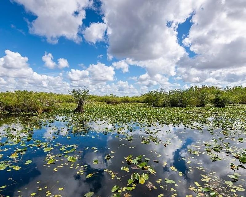 Everglades Airboat Tour From Miami Beach