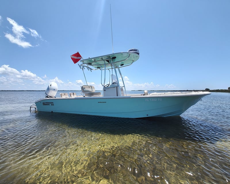 Private Half-Day Dolphin & Snorkel Boat Tour in Panama City